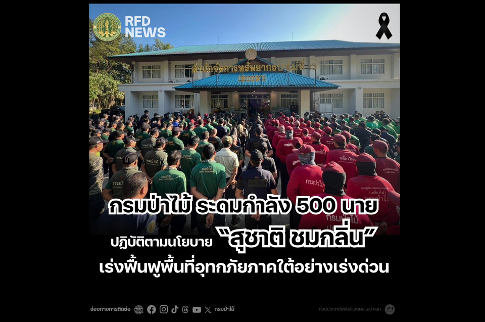 "กรมป่าไม้" ระดมกำลัง 500 นาย ปฏิบัติตามนโยบาย “สุชาติ ชมกลิ่น” เร่งฟื้นฟูพื้นที่อุทกภัยภาคใต้อย่างเร่งด่วน