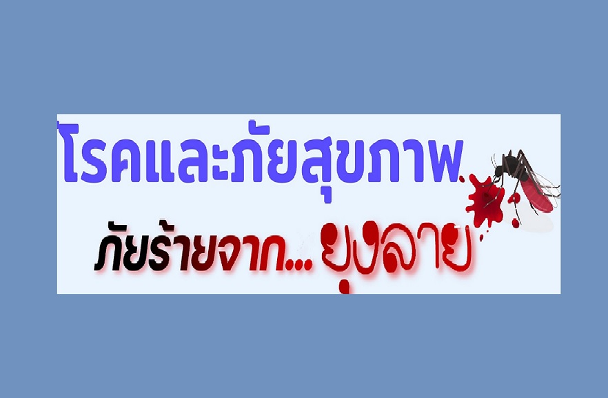 ระวัง!กรมควบคุมโรคเตือน 3 โรคติดต่อจากยุงช่วงวันหยุดสงกรานต์มีแนวโน้มป่วยพุ่ง
