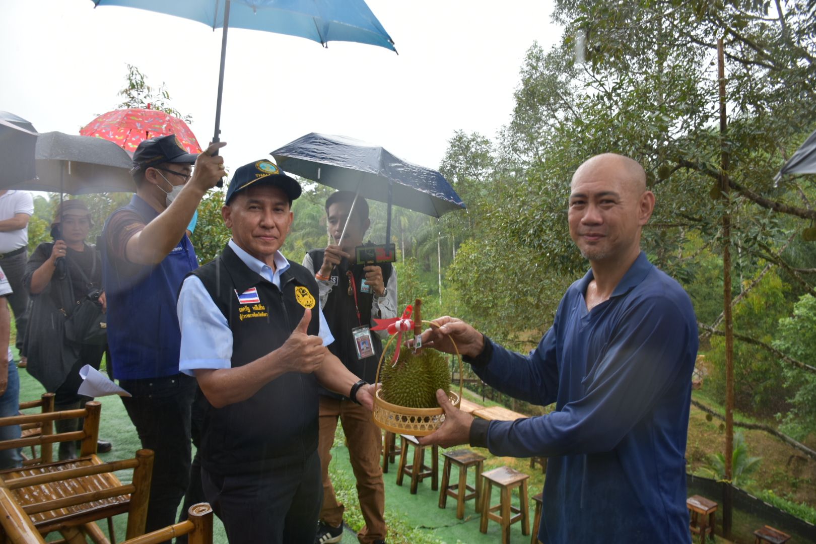 ผู้ว่าฯพาทัวร์เส้นทางท่องเที่ยว หรอยให้สุด หยุดที่พังงา ชิม “ทุเรียนสาลิกา ราชาทุเรียนบ้าน-มังคุดทิพย์พังงา ราชินีผลไม้”