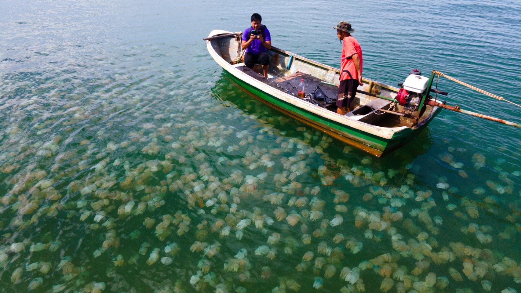 ฝูงกระพรุนหลากสีนับล้านผุดดำผุดว่ายหน้าชายหาดบ้านคลองสนแหลมกลัด ชาวบ้านบอกพบมากกว่าทุกปี