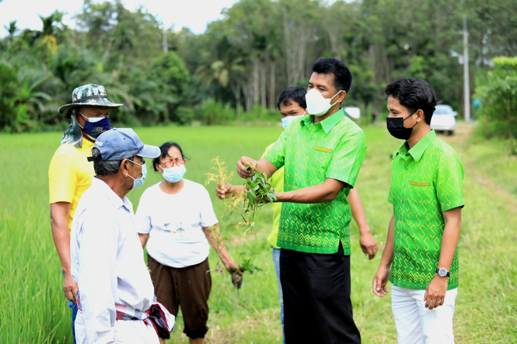แปลงใหญ่ ต.นาข้าวเสีย รวมกลุ่มผลิตข้าวครบวงจร  ลดต้นทุนเพิ่มผลผลิต สร้างรายได้งาม
