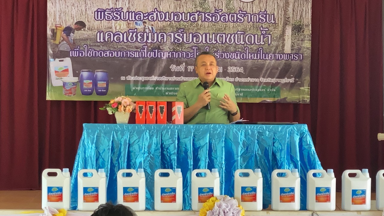 หลายฝ่ายในจังหวัดสุราษฎร์ธานี ระดมเร่งแก้ไขปัญหาภาวะโรคใบร่วงชนิดใหม่ในยางพาราให้เกษตรชาวสวนยาง  
