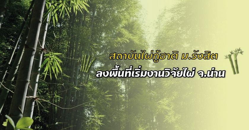  "สถาบันไผ่กู้ชาติ" ม.รังสิต คืนป่าฟื้นศก.สร้างรายได้ชาวน่าน