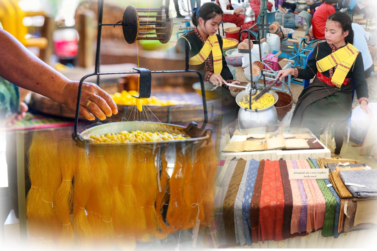 กรมหม่อนไหมเตรียมจัดงานประกวดเส้นไหมระดับประเทศ ประจำปี 2568 