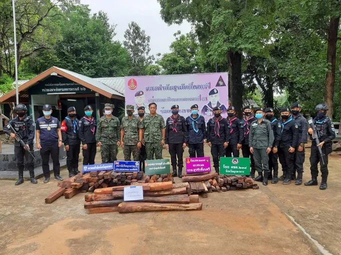 ทหารพรานสนธิกำลังตรวจยึดไม้พะยูงเตรียมส่งข้ามโขงไป สปป ลาว