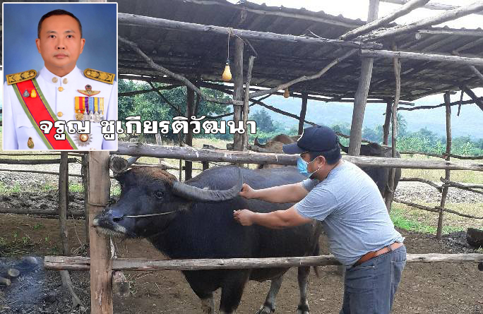 ลพบุรี รณรงค์ฉีดวัคซีนป้องกันโรคลัมปีสกิน แก่เกษตรกรผู้เลี้ยงสัตว์ ในพื้นที่โคกสำโรง 