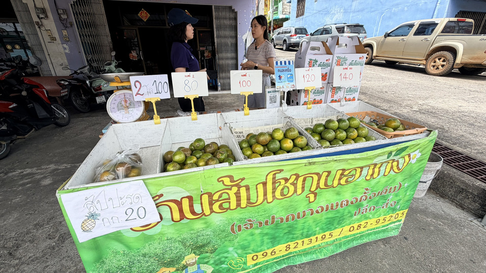 ไทยช่วยไทยพลัสหนุนท่องเที่ยวเบตงคึกคัก นักท่องเที่ยวแห่ซื้อส้มโชกุน ของฝากยอดนิยมยอดขายพุ่ง 