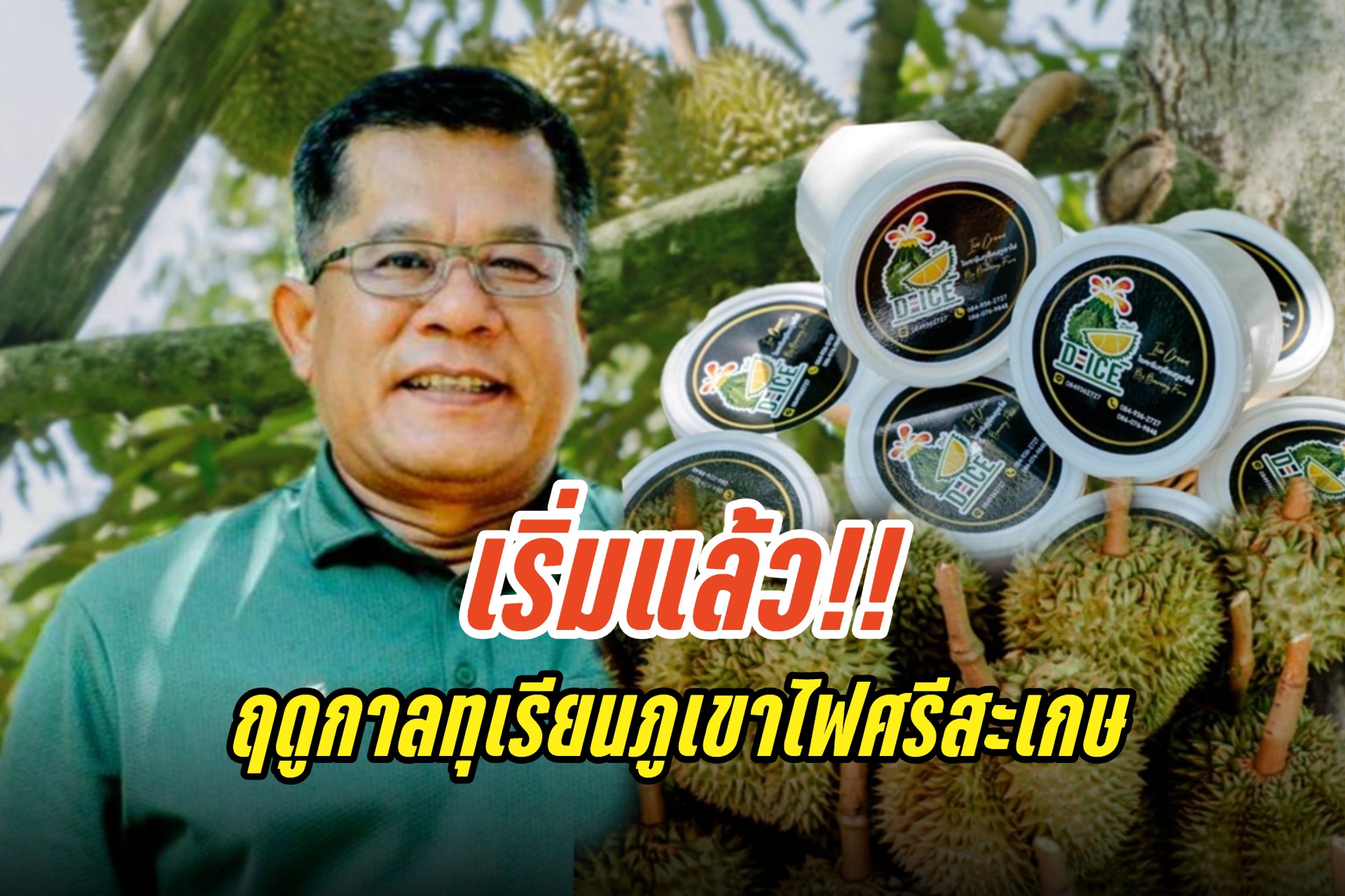 เริ่มแล้ว!! ฤดูกาลทุเรียนภูเขาไฟศรีสะเกษ เชื่อปีนี้ราคาดีเกษตรกรขายได้ทะลุ 2 พันล้าน 