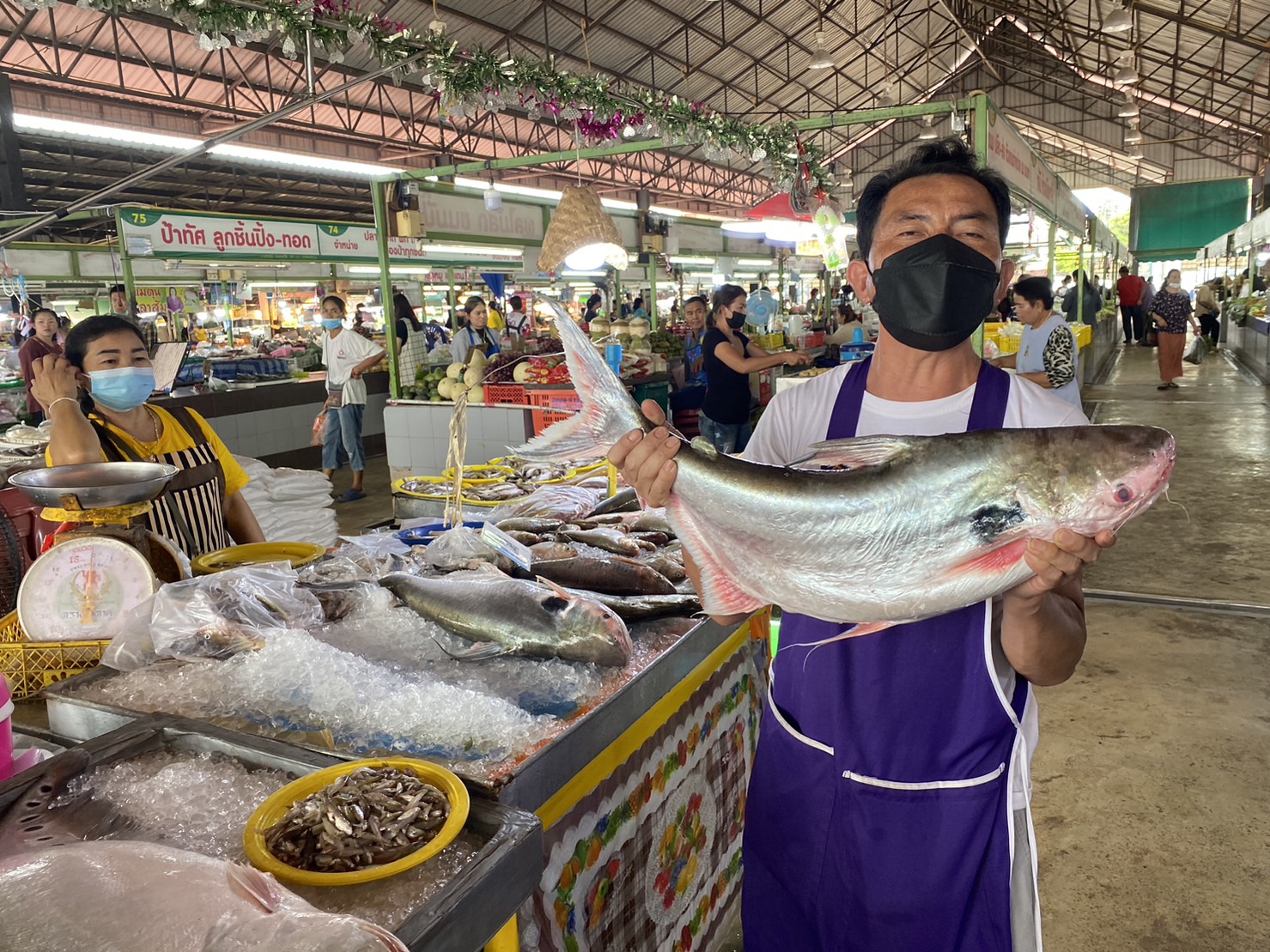 พลิกวิกฤติน้ำโขงสูง ลำน้ำสาขาเอ่อล้น ตลาดปลาเงินสะพัด        
