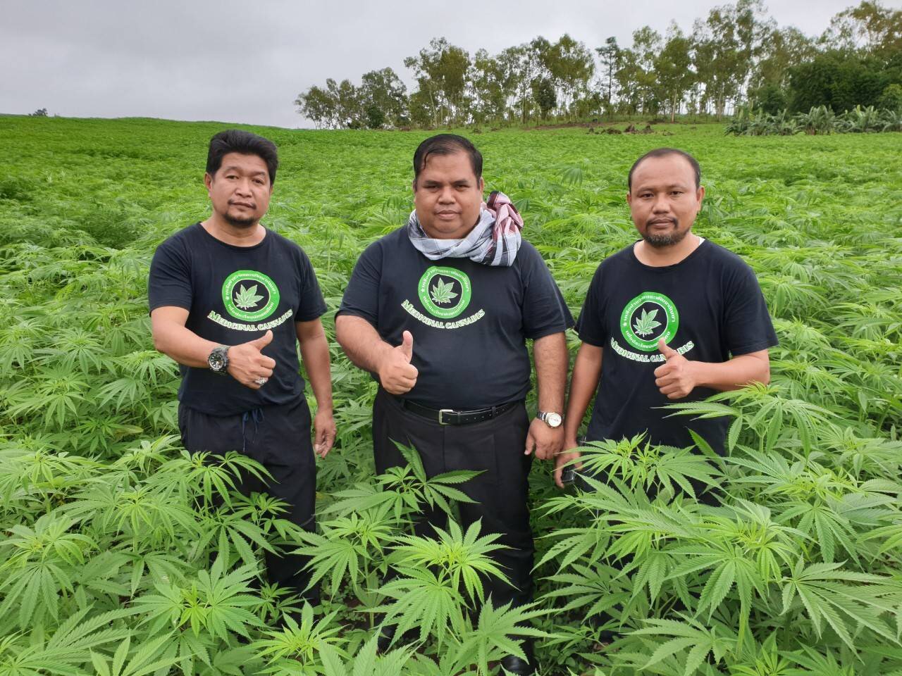 "หมู่บ้านวิสาหกิจชุมชนท้องถิ่นเรารักประเทศไทย" ขานรับนโยบายรัฐบาลปลดล็อค "กัญชง"