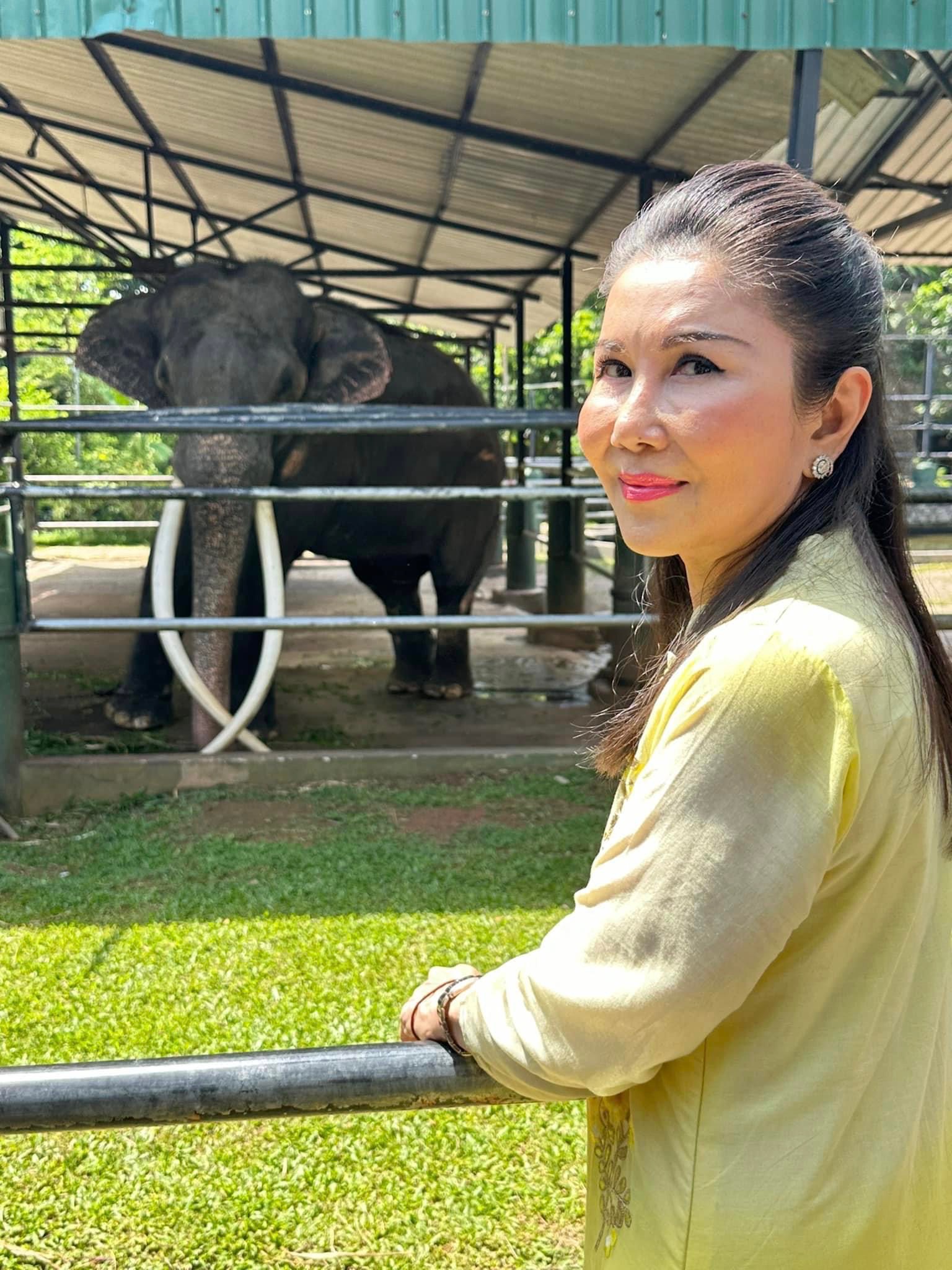 "กัญจนา" แจงปมดราม่า เบื้องหลังพา "พลายศักดิ์สุรินทร์" กลับบ้าน ย้ำ บริจาคสีทอง 2.8 ตันไปทาองค์พระ ไม่ใช่บริจาคทองคำหลายกิโล