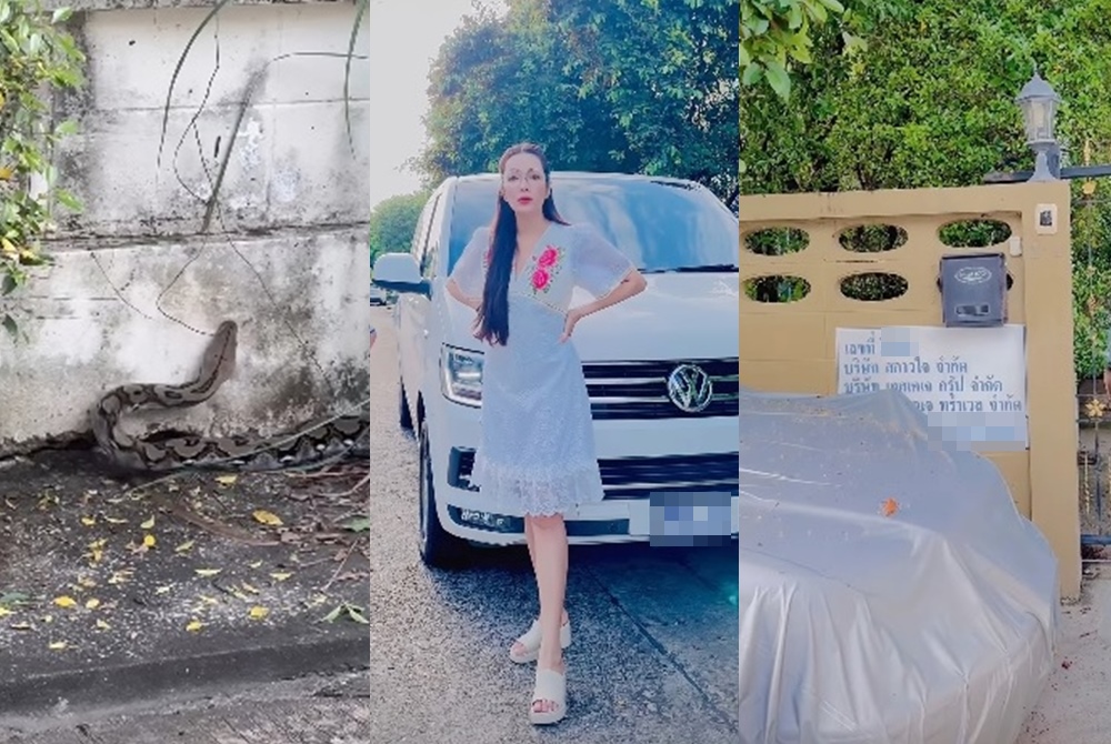 ส่องเลย! "อ๋อม สกาวใจ" โพสต์คลิปงูใหญ่เข้าบ้าน แต่คอหวยโฟกัสทะเบียนรถ-เลขที่บ้าน