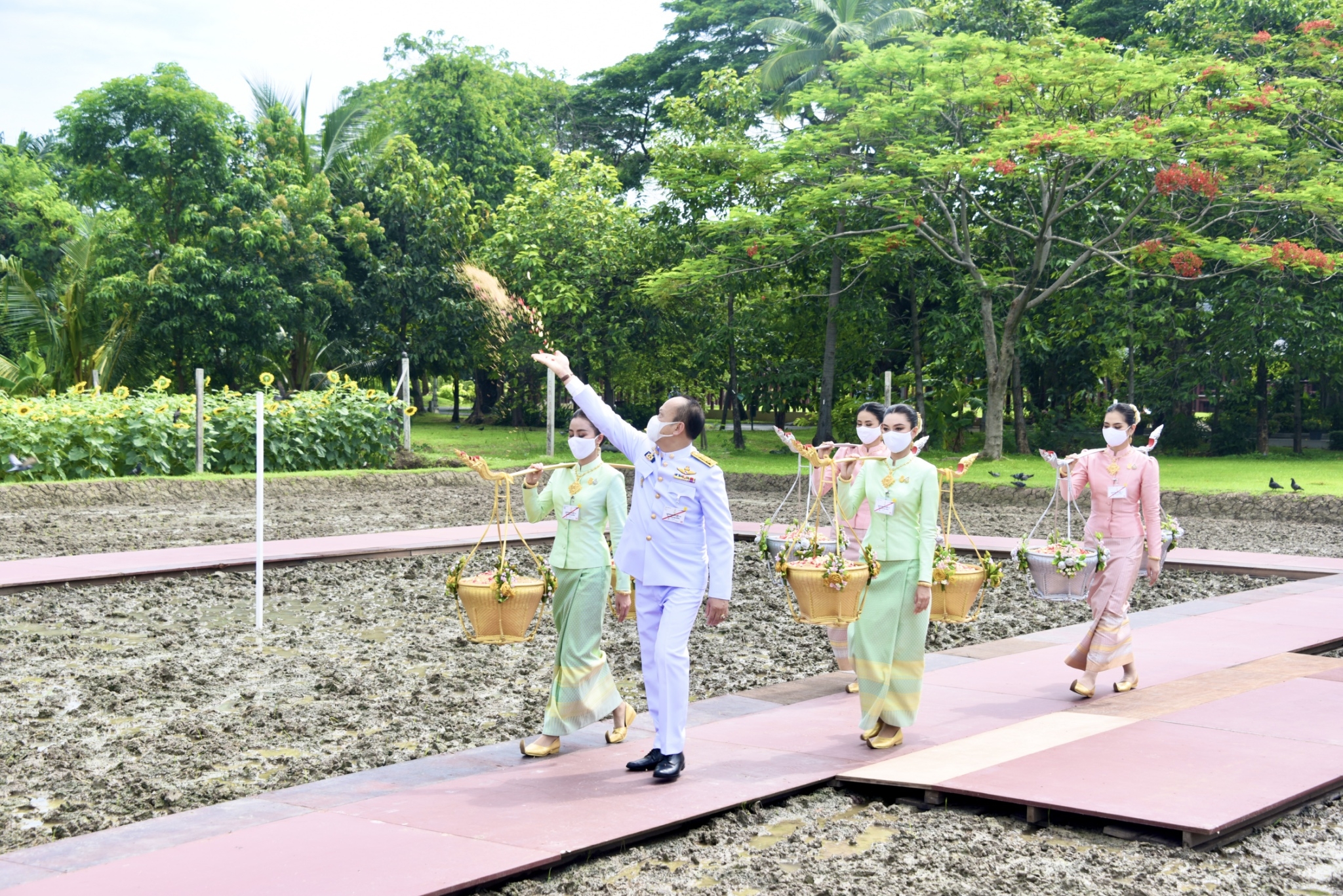 พิธีหว่านข้าวในแปลงนาทดลองสวนจิตรลดาวันพืชมงคล