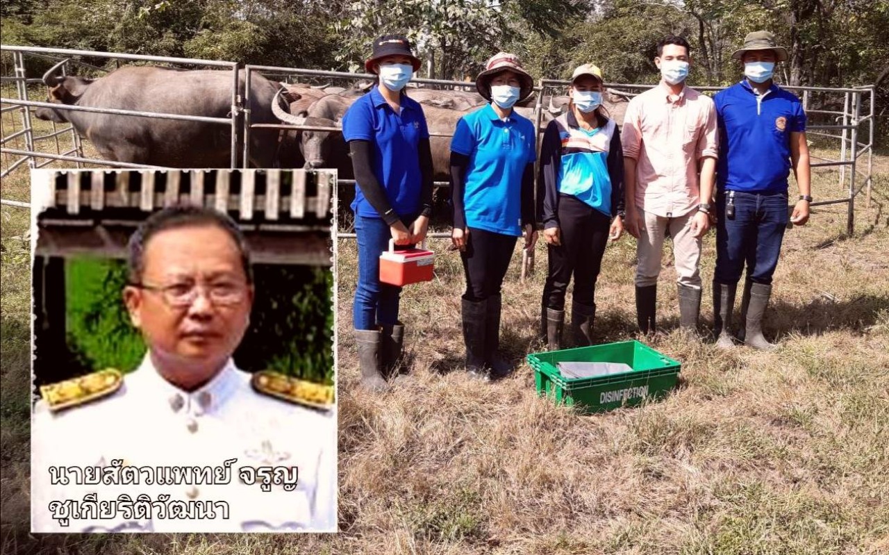 “ปศุสัตว์ลพบุรี รวมพลัง ป้องกันโรคคอบวม ในควาย”