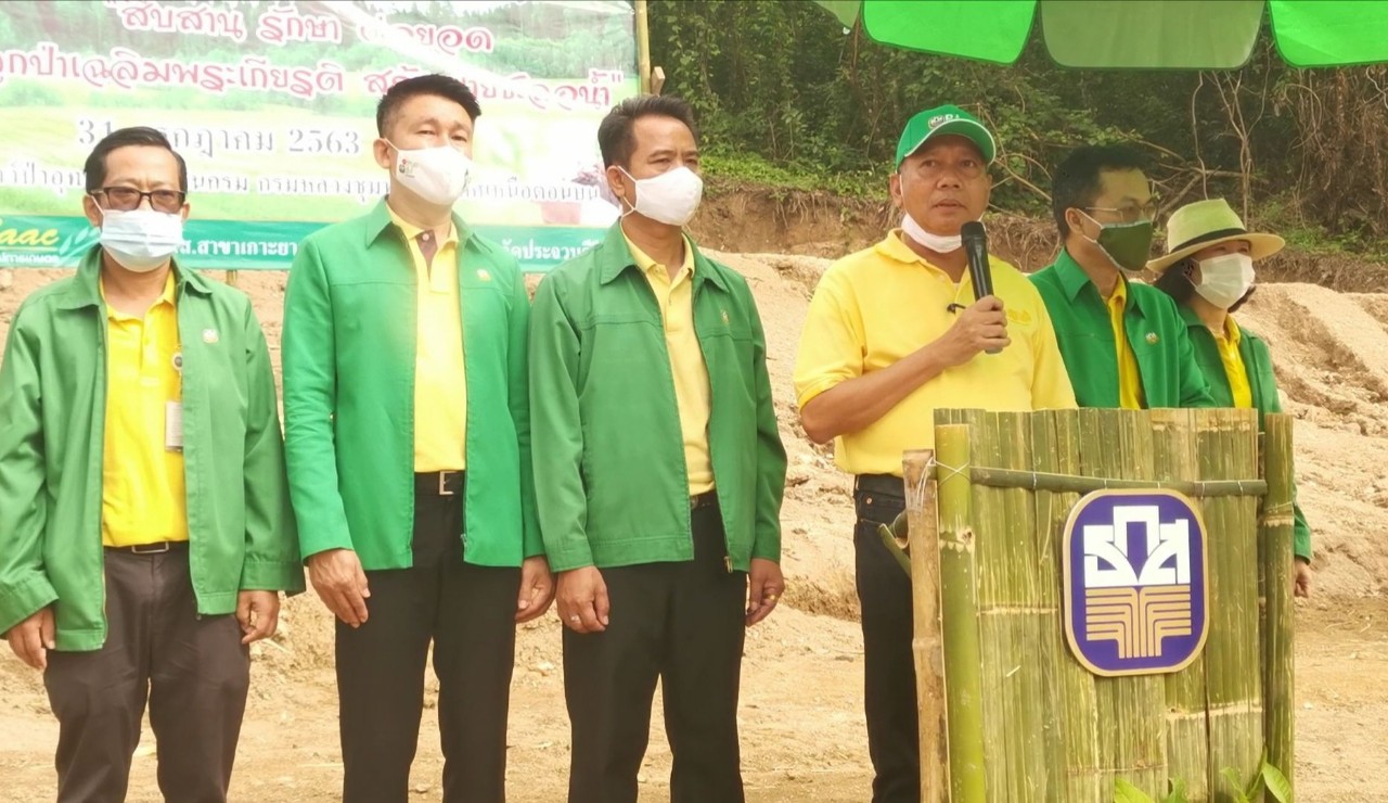 ธกส.ประจวบฯ สร้าง “ทองมงคลโมเดล” ปลูกป่า เฉลิมพระเกียรติ สร้างฝายชะลอน้ำในพื้นที่