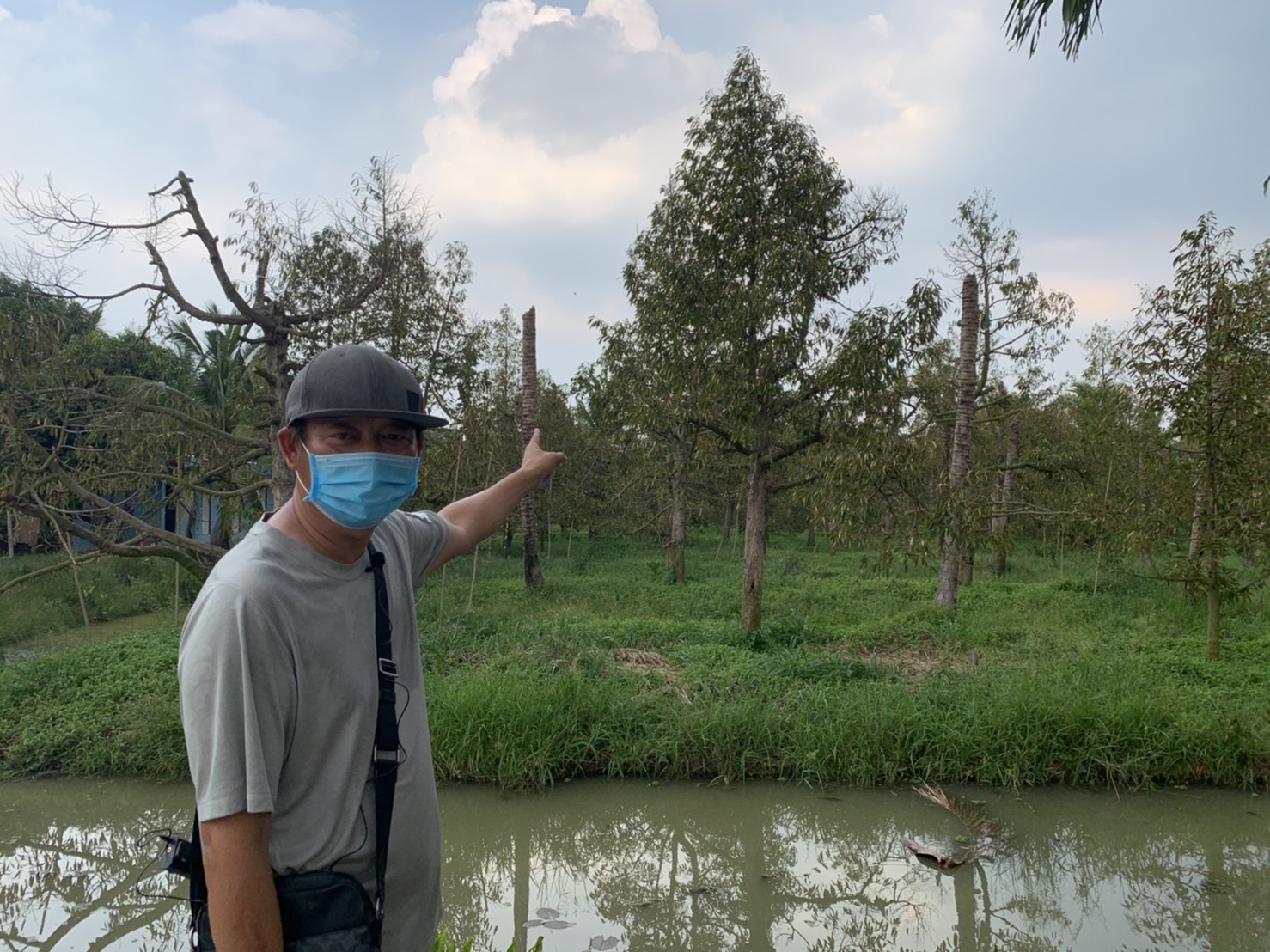  เกษตรกรหวั่นน้ำเค็มรุกทุเรียนหนองเสืออาจสูญพันธุ์ได้ในอนาคต