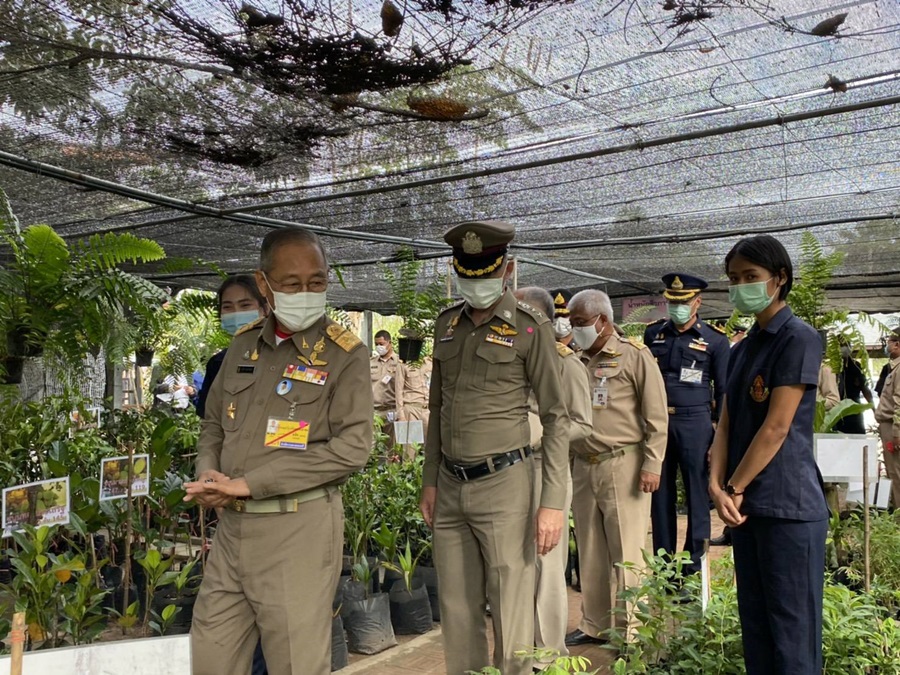 องคมนตรี ติดตามงานศูนย์ศึกษาการพัฒนาห้วยทรายฯ