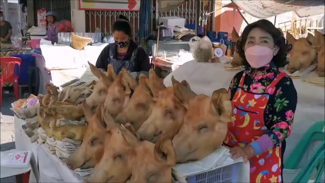 แม่ค้าอุดรโอดครวญหัวหมูแพงขายยากแต่ต้องสู้ทนขายต่อ