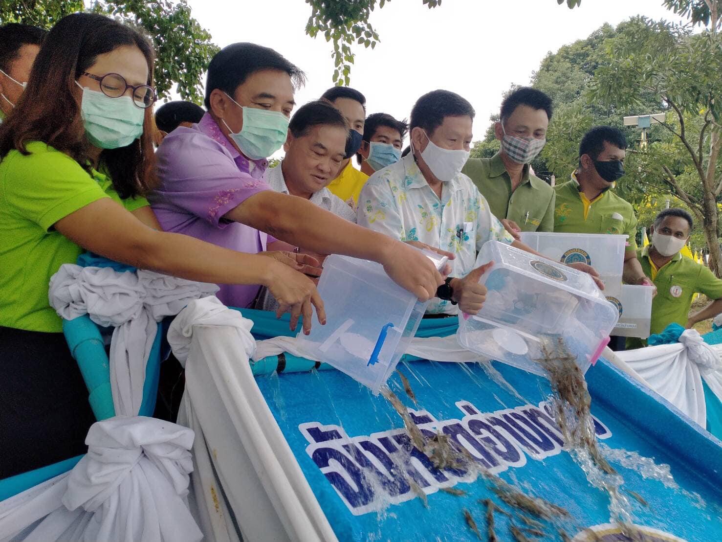 ประมงอ่างทอง ปล่อยพันธุ์สัตว์น้ำเนื่องในวันประมงแห่งชาติปี 2563