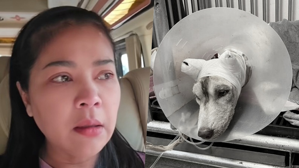 "ตั๊ก ศิริพร" สุดกลั้น "มอลลี่" กลับดาว ลั่นจับตัวร้ายให้ได้ลงโทษให้หนัก