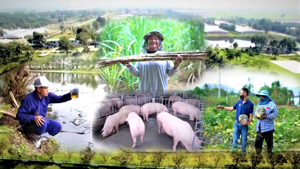 CPF ต่อยอดฟาร์มรักษ์โลก "Greenfarm" หนุนใช้พลังงานทดแทน “ไบโอแก๊ส-โซลาร์ฟาร์ม” 