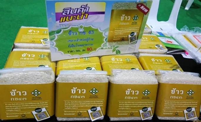 กสส. หนุนสหกรณ์ขนข้าวสารคุณภาพ บุกอตก. เจาะลูกค้ากทม. หวังดันราคาข้าวช่วยชาวนา