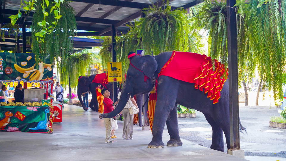 วันเด็ก 2569 สวนนงนุชพัทยา เปิดสวนให้เด็กเข้าฟรี สนุกครบ–เรียนรู้ทั้งวัน