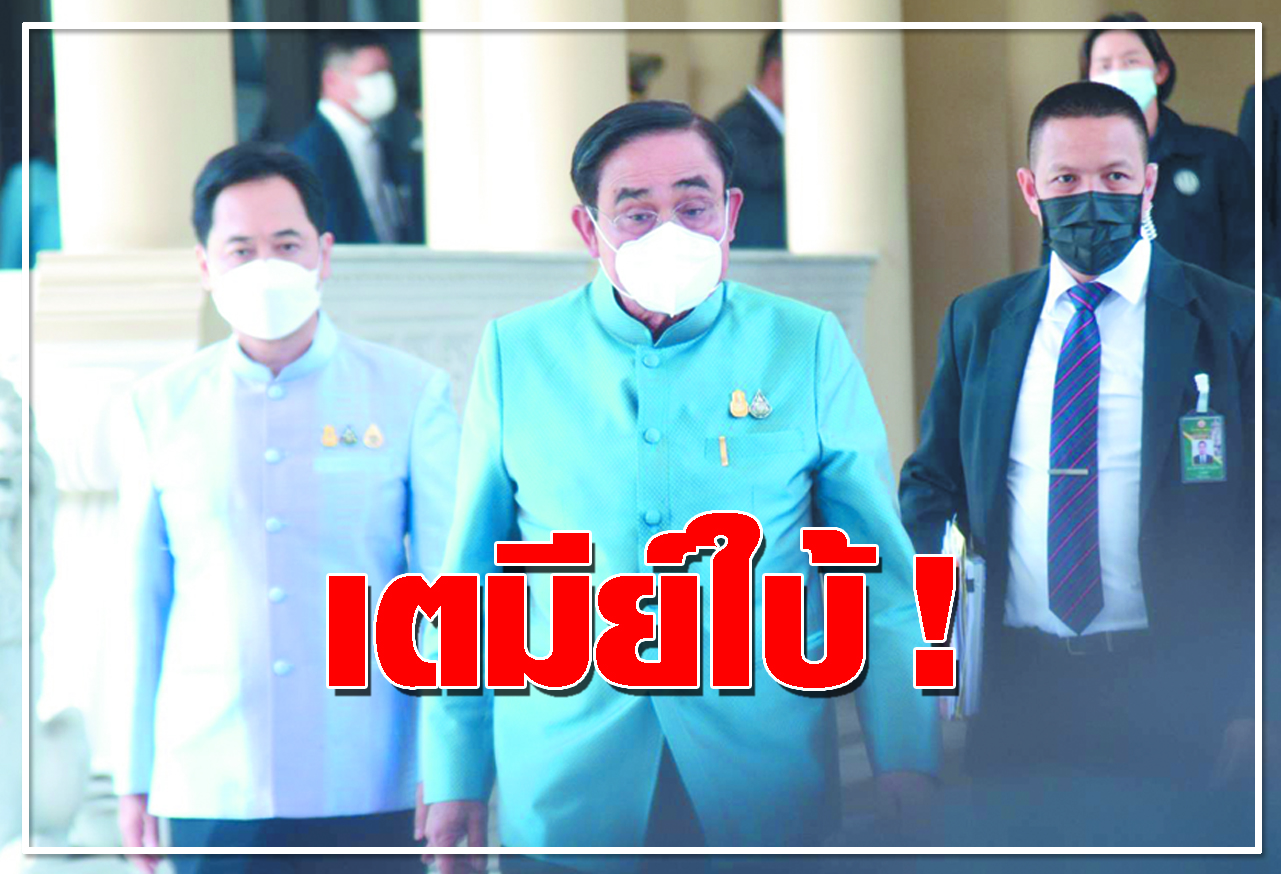  เตมีย์ใบ้ !