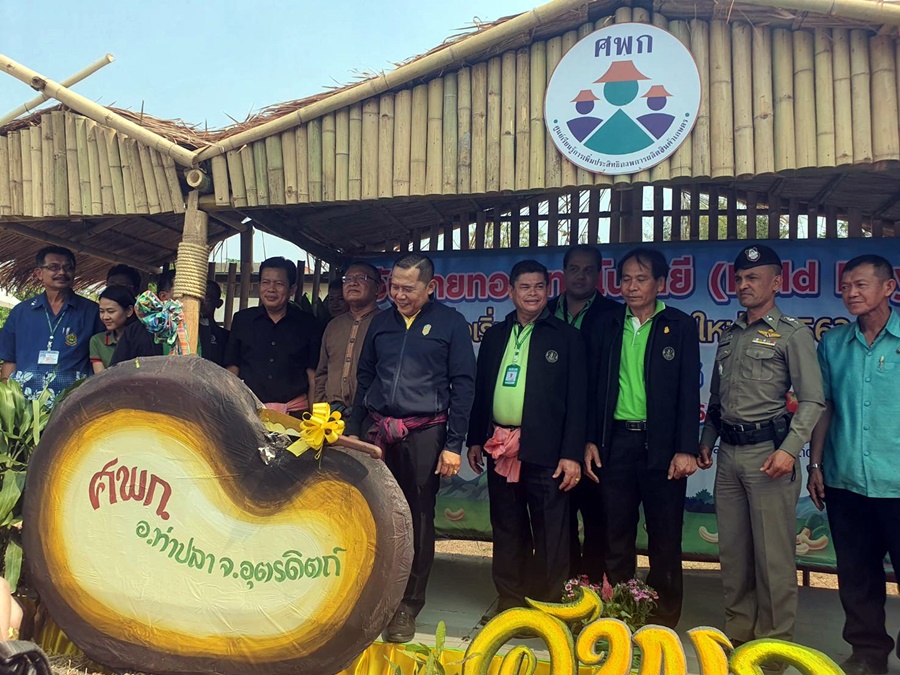 เกษตรฯ เปิด Field Day เริ่มต้นฤดูกาลผลิตใหม่ หนุนผลิตมะม่วงหิมพานต์สร้างรายได้สู้ภัยแล้ง 
