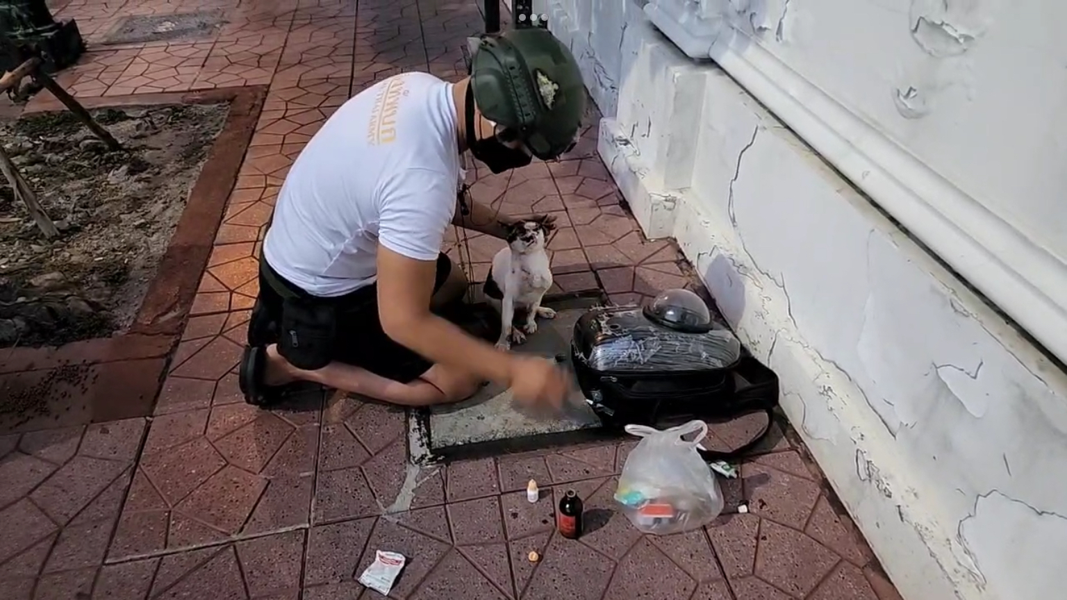 คนใจดี ...'ชัชชาติ' ไลฟ์ เจอจิตอาสากองทัพบก ช่วยแมวบาดเจ็บ