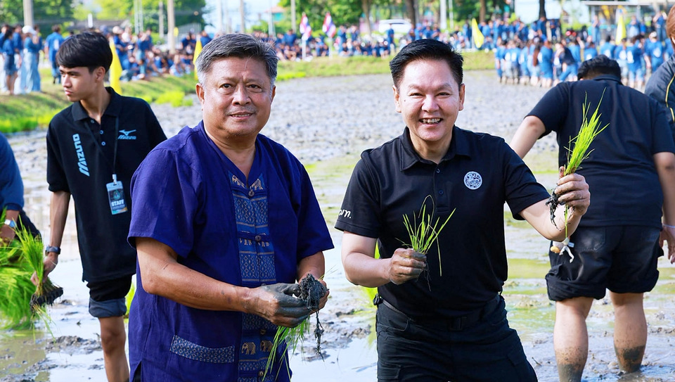 มก.กำแพงแสน จัดปลูกข้าววันแม่ ปีที่ 21 ปักดำข้าวไรซ์เบอร์รี่ เชื่อมงานวิจัยสู่เกษตรยั่งยืน