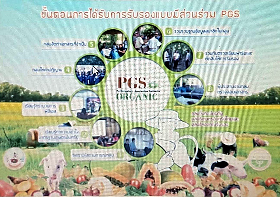 สภาเกษตรกรฯ นำร่องช่วยรัฐตรวจรับรองเกษตรอินทรีย์ด้วยระบบ PGS