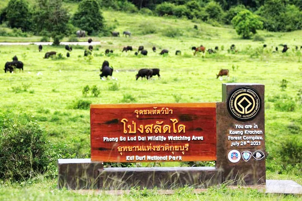เปิดให้เข้าชมแล้ว! อช.กุยบุรี หลังปิดให้ธรรมชาติฟื้นตัว 