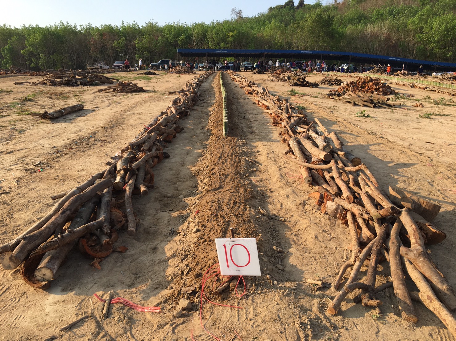 เทศบาลตำบลชากบก จัดงานประเพณีทำ“บุญข้าวใหม่เดือนสาม เผาข้าวหลามชากบก”