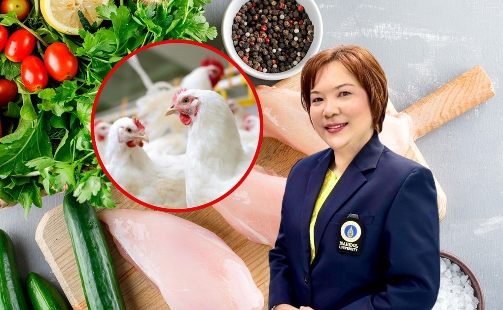"เนื้อไก่" แหล่งโปรตีนคุณภาพดี ไม่ใช่สาเหตุ "เด็ก" เป็นสาวก่อนวัย