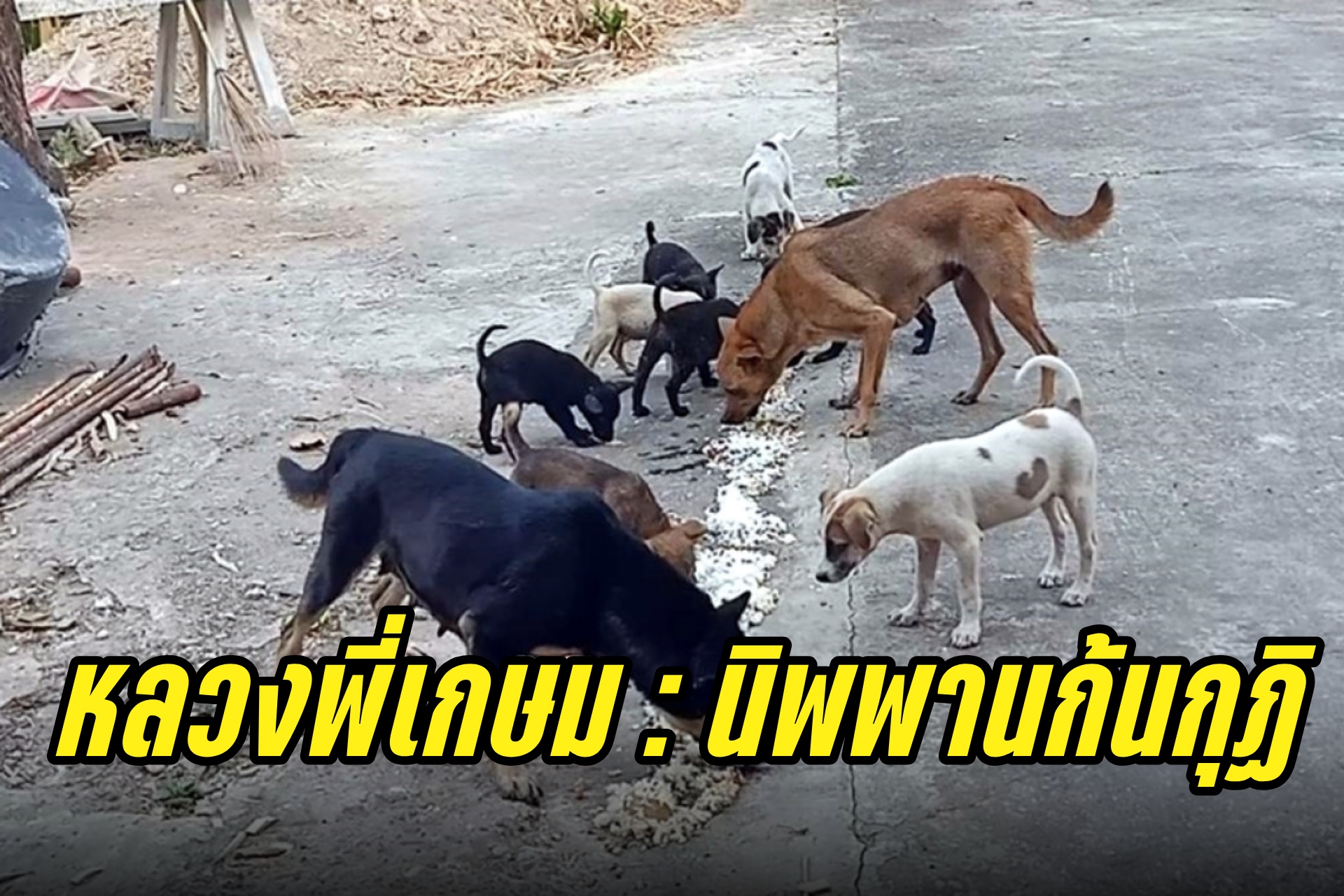 หลวงพี่เกษม : นิพพานก้นกุฏิ