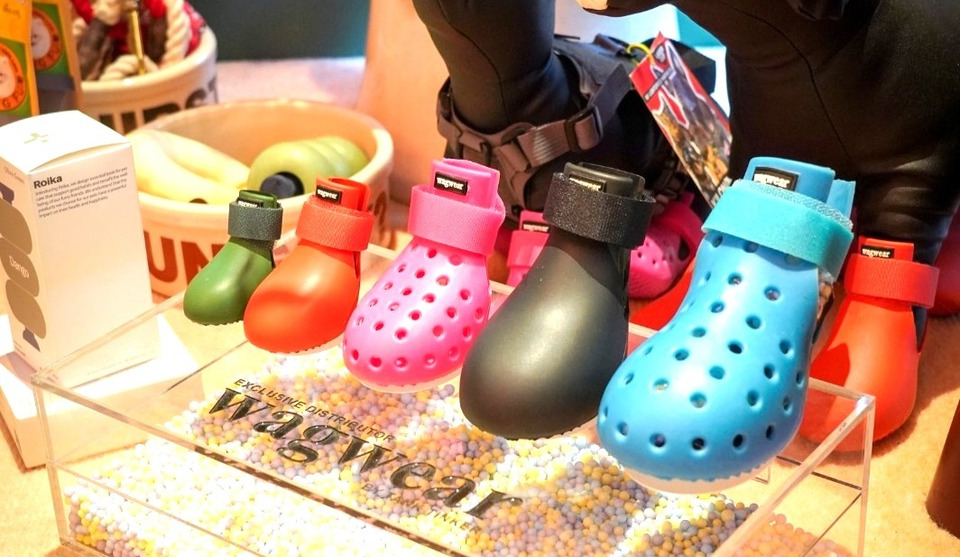 TANK TINKER แนะนำ รองเท้าสำหรับสุนัขแบรนด์ Wagwear