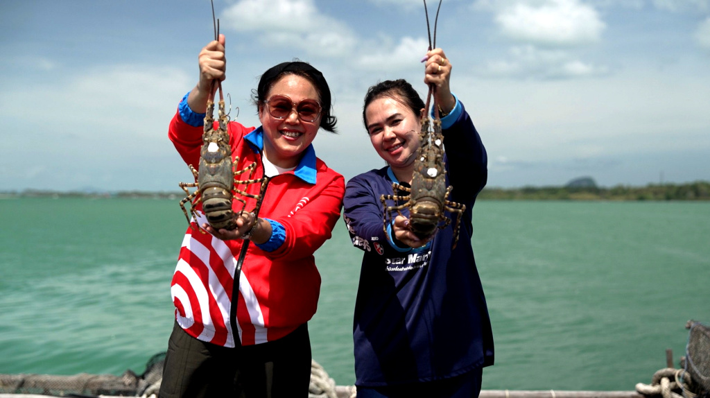 โก โฮลเซลล์ เสิร์ฟวัตถุดิบท้องถิ่น “กุ้งมังกร 7 สีภูเก็ต” สู่ร้านอาหารทั่วไทย