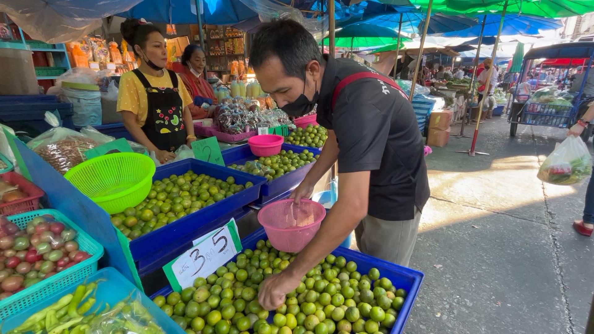 มะนาวขอนแก่นแพงรับปีใหม่  แป้นรำไพเบอร์ 3 ขายปลีกลูกละ 5 บาท หลังราคาส่งทะลุกระสอบละ 1,000 