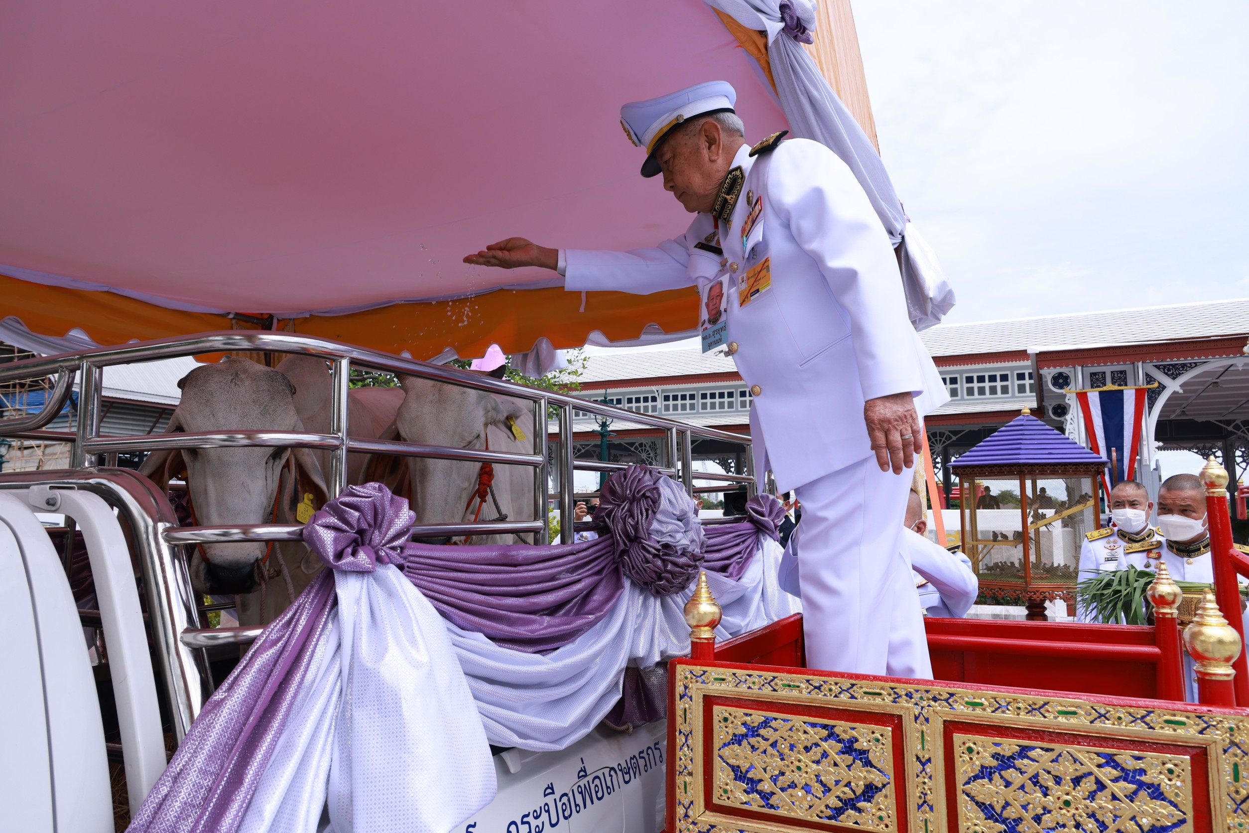 โปรดเกล้าฯประธานองคมนตรีบำเพ็ญพระกุศลปล่อยโค นก และพันธุ์สัตว์น้ำ เนื่องในโอกาสวันคล้ายวันประสูติ พระเจ้าวรวงศ์เธอ พระองค์เจ้าโสมสวลี 