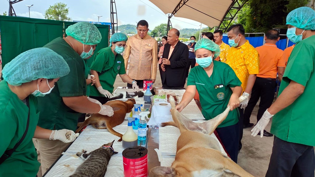 ปศุสัตว์ชลบุรี จับมือเทศบาลตำบลบางพระ ร่วมใจกำจัดภัยโรคพิษสุนัขบ้า