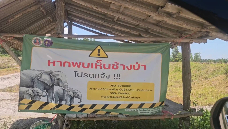 สลดกลางป่าลำปาง! ชายวัย 66 ปี ถูกช้างทำร้ายเสียชีวิต ขณะออกหาเห็ดถอบกับเพื่อน 