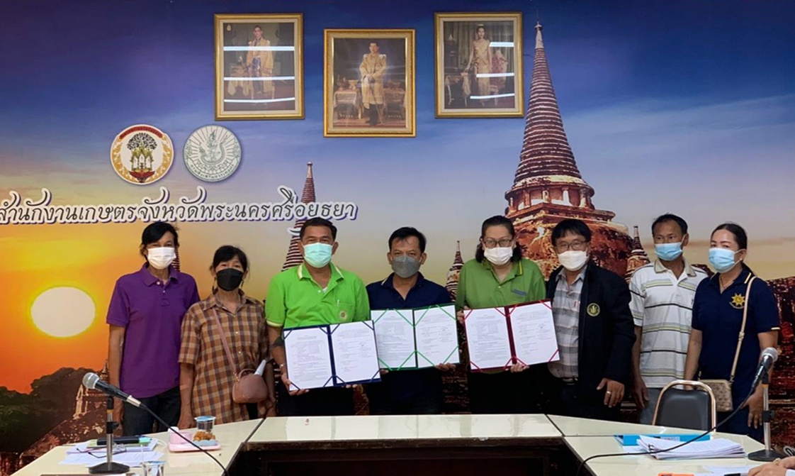จังหวัดพระนครศรีอยุธยา หนุนเกษตรกรแปลงใหญ่เข้าสู่กระบวนการเกษตรสมัยใหม่ สร้างรายได้ให้เกษตรกรเพิ่มขึ้น