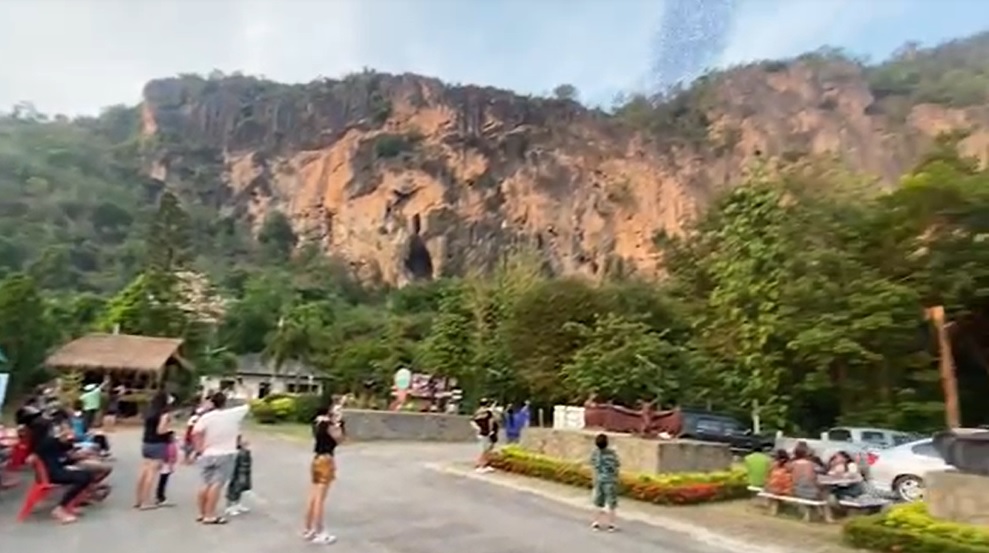 นทท.รอชมชมค้างคาวปากย่นนับล้านตัวบินออกจากถ้ำที่ภูผาม่าน