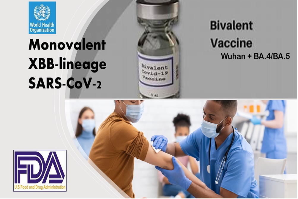 "WHO - FDA"  เสนอใช้สายพันธุ์ XBB หัวเชื้อผลิตวัคซีนโควิด