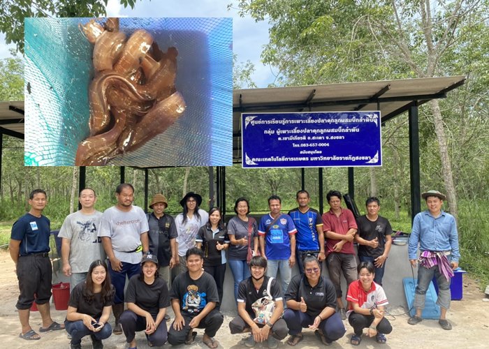 เกษตร "มรภ.สงขลา" ถ่ายทอดเทคโนฯเพาะปลาดุกลูกผสมบิ๊กลำพัน