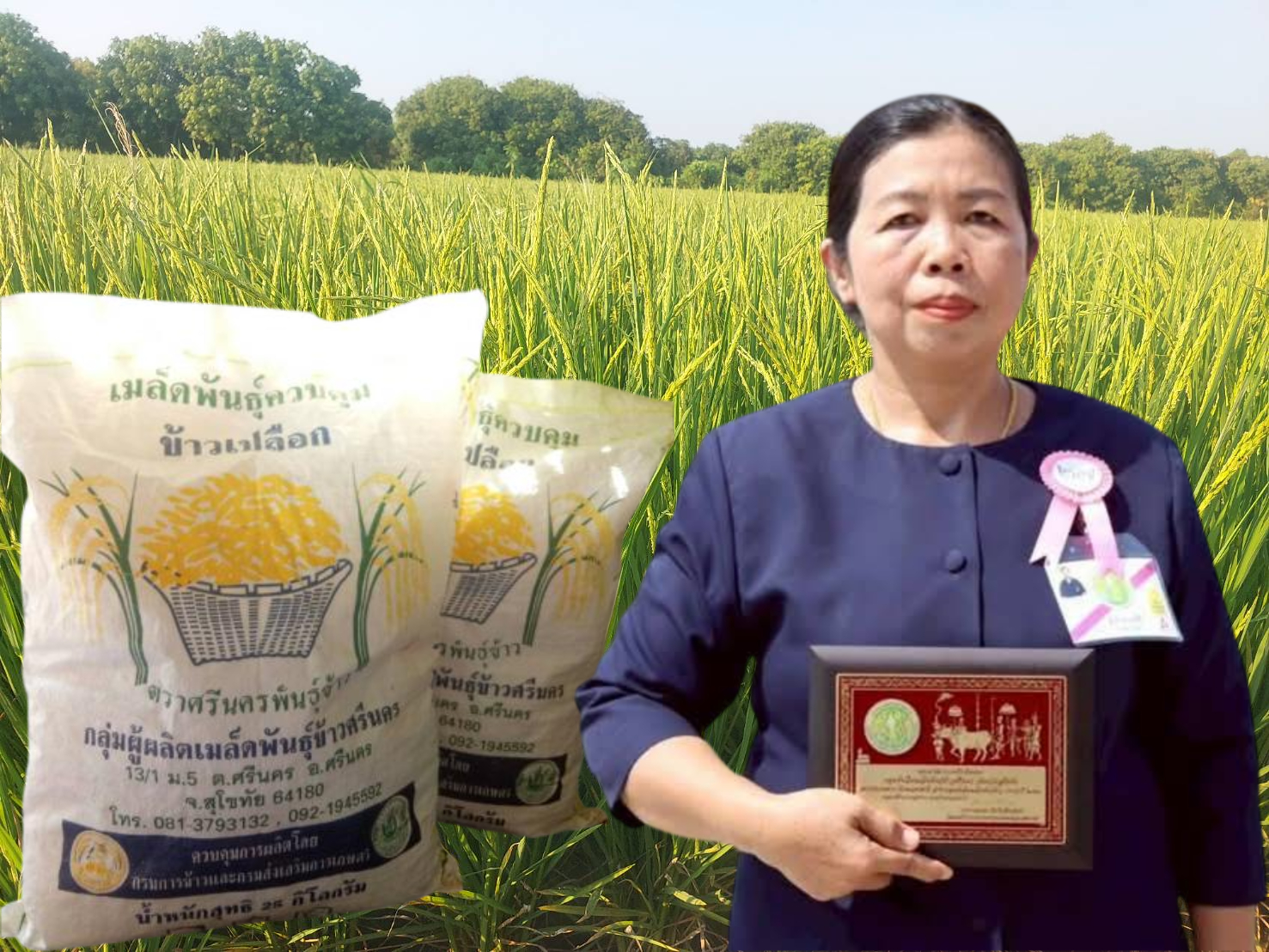  กลุ่มผู้ผลิตเมล็ดพันธุ์ข้าวศรีนคร สถาบันเกษตรกรดีเด่นแห่งชาติ ปี 68 ต้นแบบผลิตเมล็ดพันธุ์คุณภาพสูง  