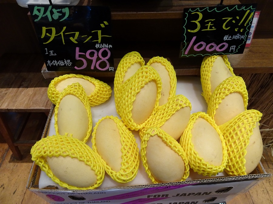 ทูตเกษตร แนะสกว.ส่งออกมะม่วงน้ำดอกไม้สีทองตลาดญี่ปุ่นทางเรือ ลดต้นทุนค่าขนส่ง 2 เท่า