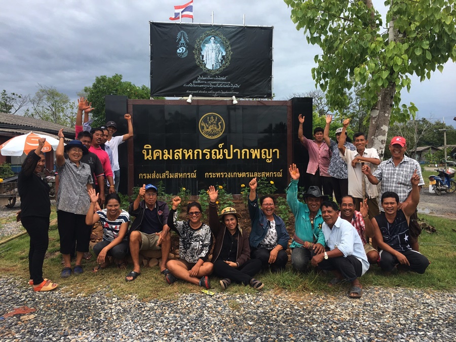 สมาชิกสหกรณ์นิคมประมงนครศรีธรรมราช จำกัด รวมใจจัดกิจกรรมปลูกดอกดาวเรือง ถวายความอาลัยแด่ในหลวง ร.9