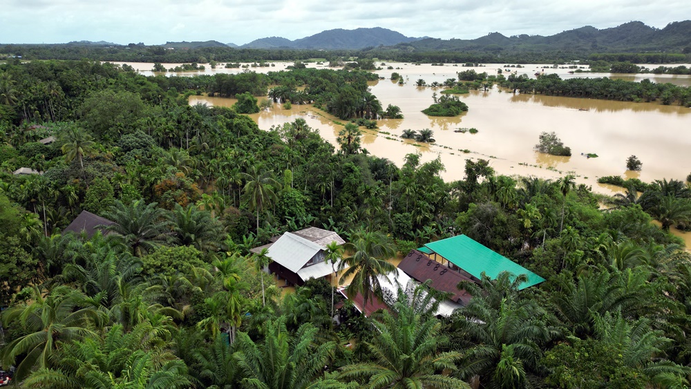 เปิดภาพมุมสูงน้ำท่วมอำเภอตะกั่วป่ารอการระบายลงทะเลไหลท่วมบ้านเรือนประชาชน-สวนปาล์มฯ